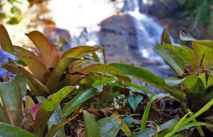 Foto: Cachoeira Sete Quedas