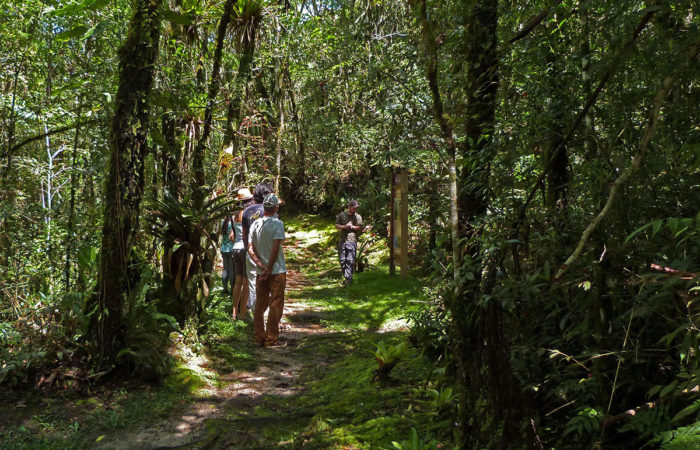 Foto: Estação Ecológica de Bananal