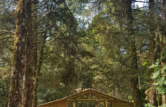 Foto: Parque Nacional da Serra da Bocaina