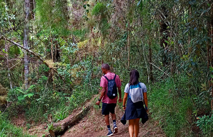 Foto: Parque Nacional da Serra da Bocaina